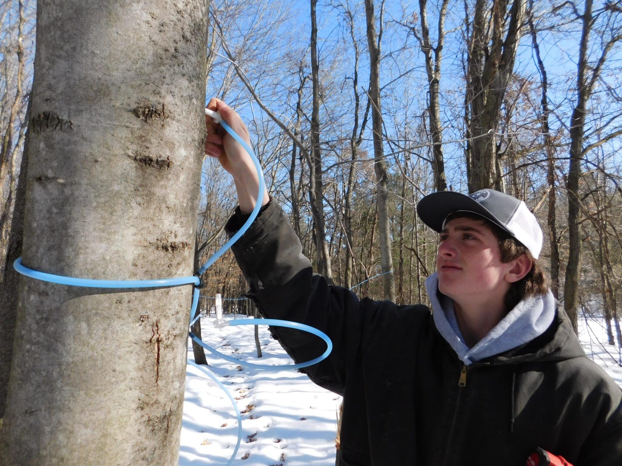 Wisconsin Pure Maple Syrup Wanish Sugar Bush - Wanish Sugar Bush